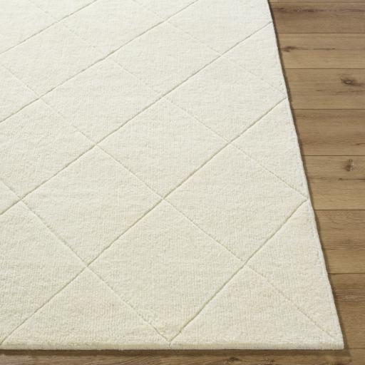 Surya Wooly WOL-2300 3'6" x 5'6" Rug