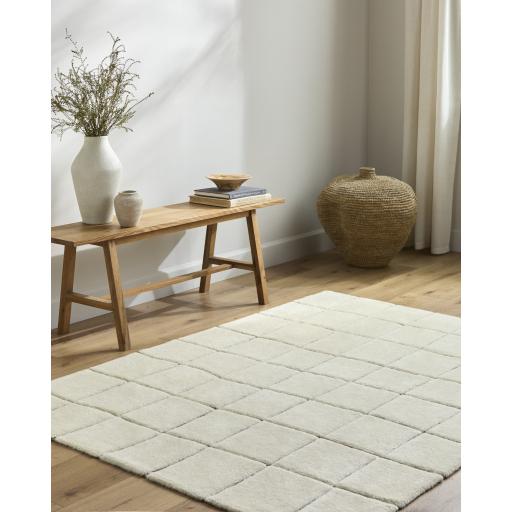 Surya Wooly WOL-2301 2' x 3' Rug