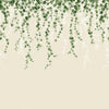 Brewster Home Fashions Advantage Westbury Forest Trailing Ivy Green Wallpaper