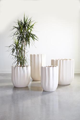 Phillips Collection Tulip Flower Wide Planter