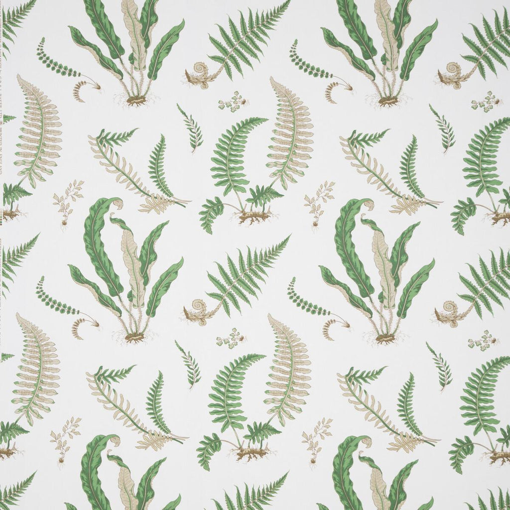 G P & J Baker FERNS PRINT SNOW Fabric