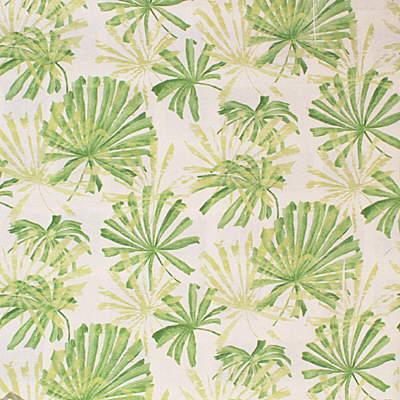 Lee Jofa JIMBARAN BAY WHITE/L Fabric