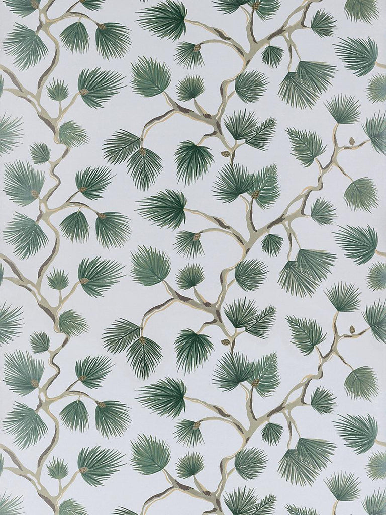 Scalamandre Pignoli Wallcovering Evergreen Wallpaper