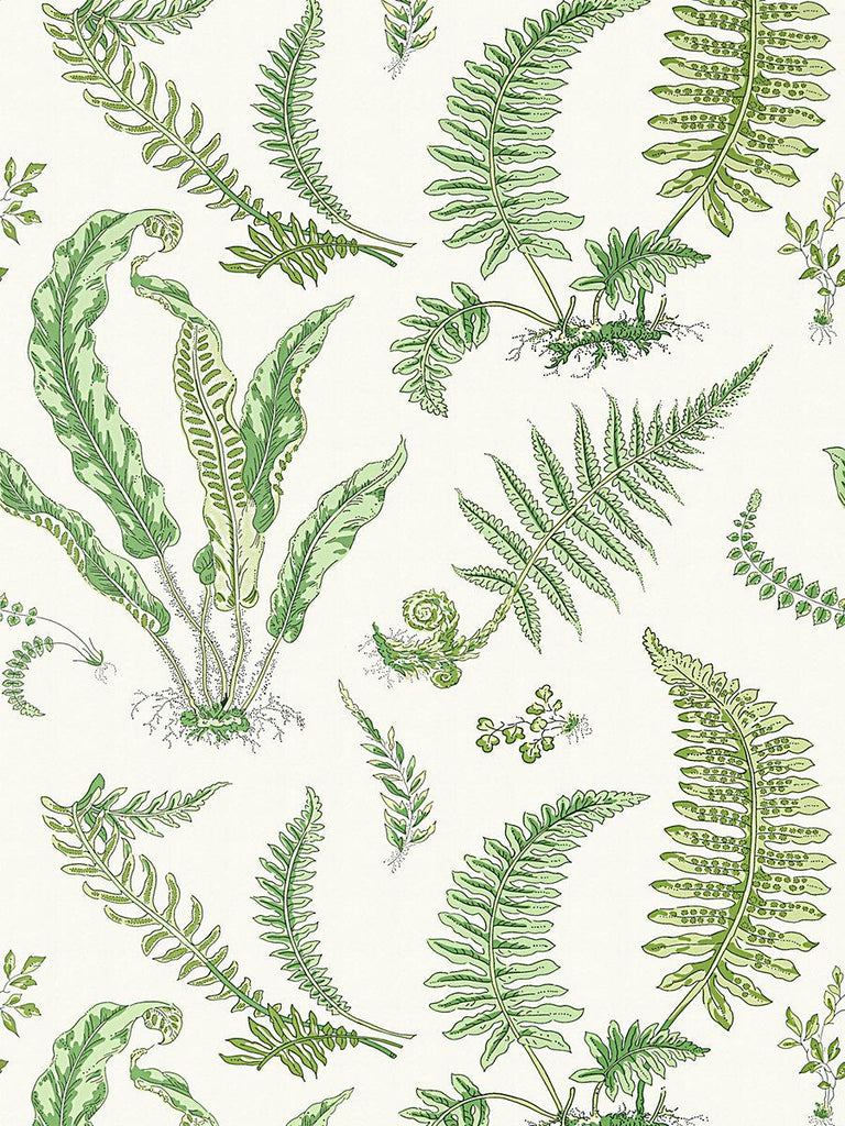 Scalamandre Elsie De Wolfe Wallcovering Fern Wallpaper