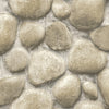 Roommates Yellowstone Root Rocks Peel And Stick Neutral Wallpaper