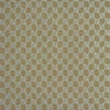 Kravet Wound Tight Sterling Fabric