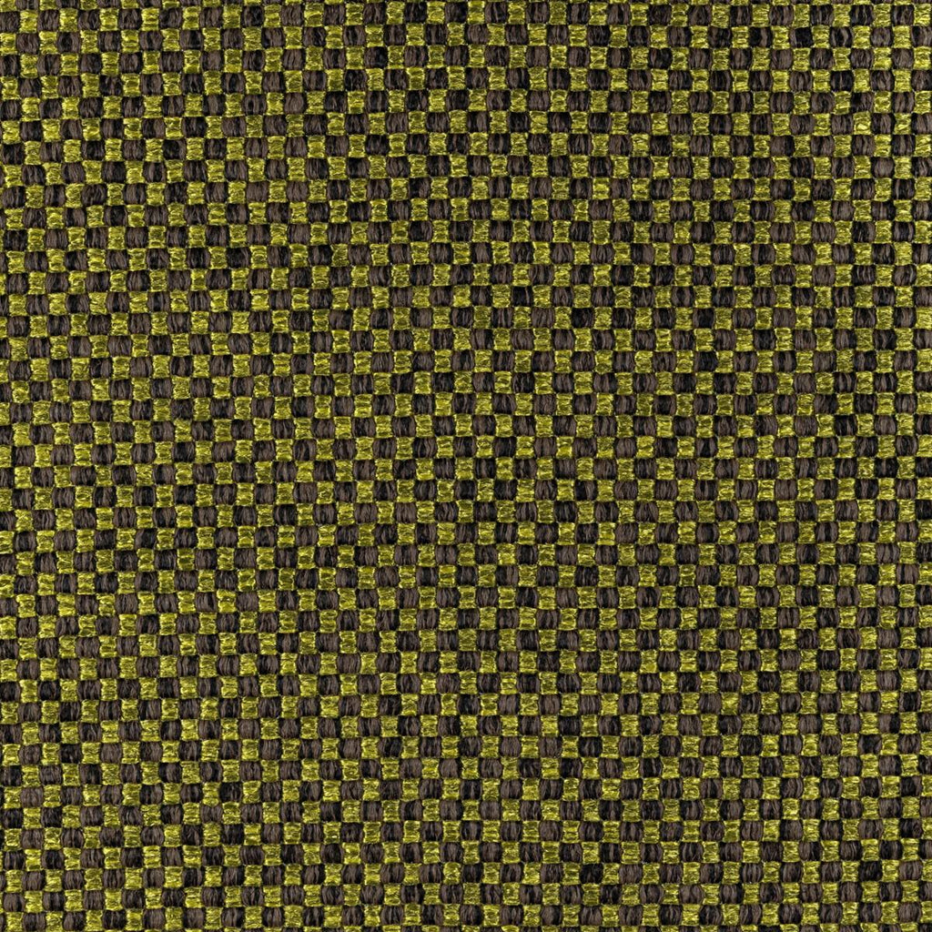 Donghia CHECK PLEASE EARTH Upholstery Fabric