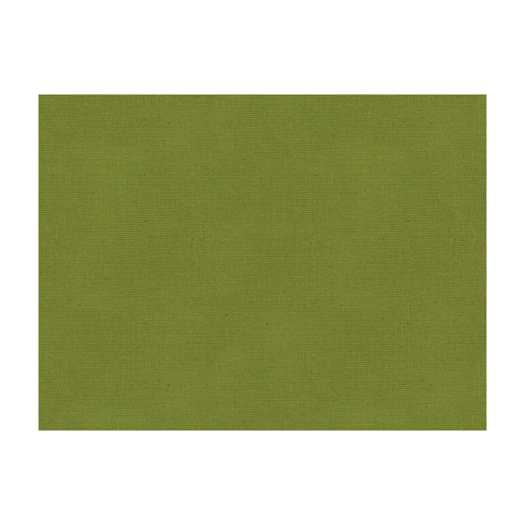 Brunschwig & Fils ZINA MOIRE OLIVE Upholstery Fabric