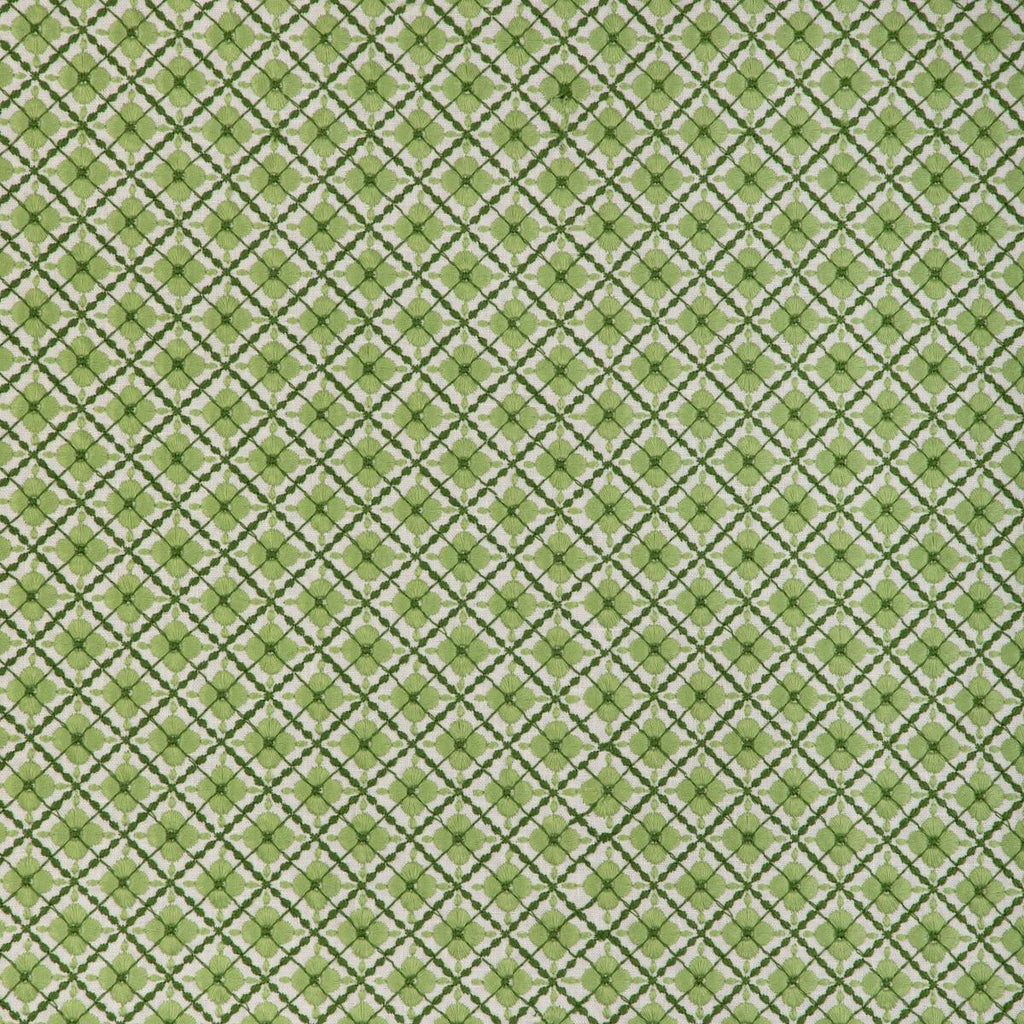 Brunschwig & Fils INES EMB LEAF Fabric