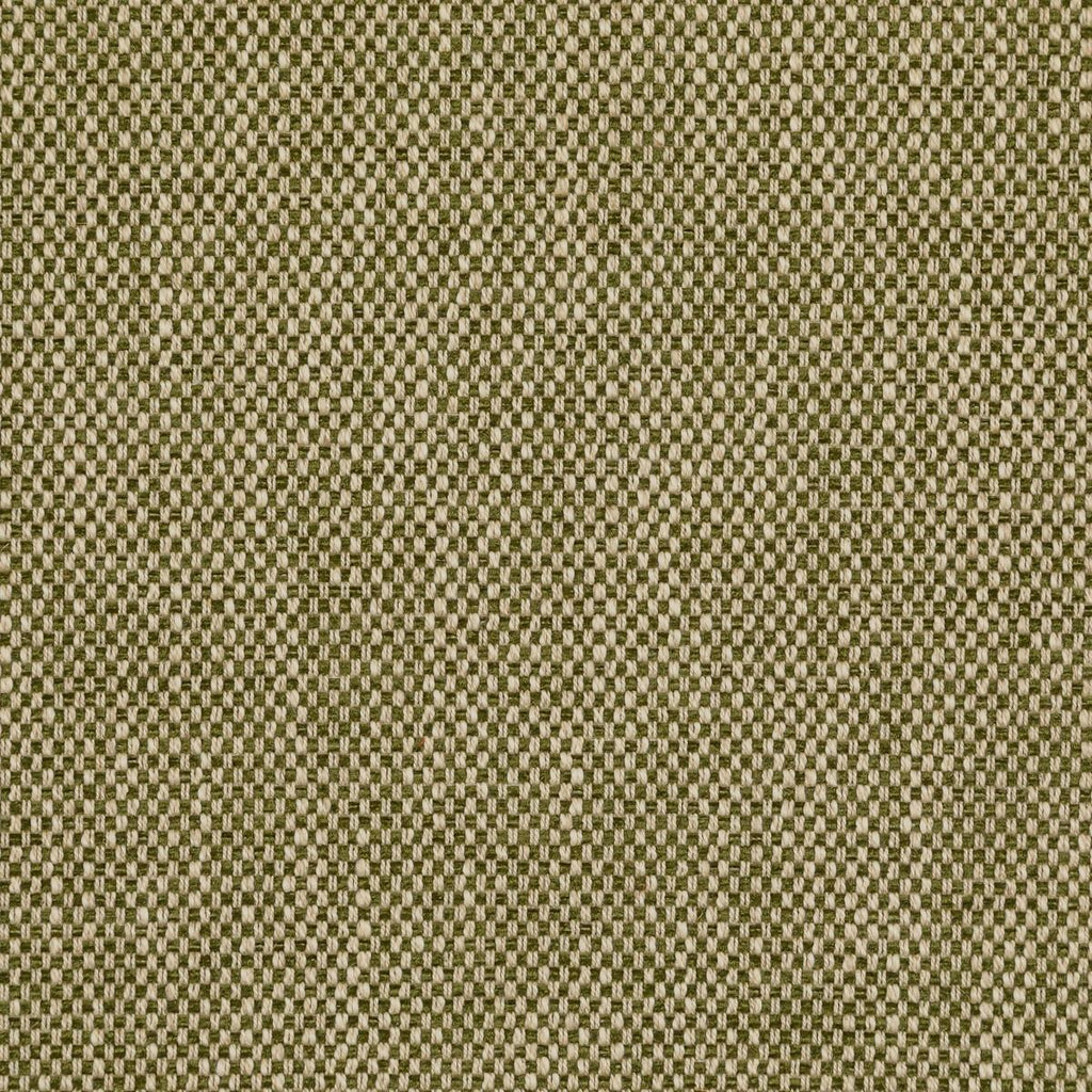 Lee Jofa CARLTON MOSS Upholstery Fabric