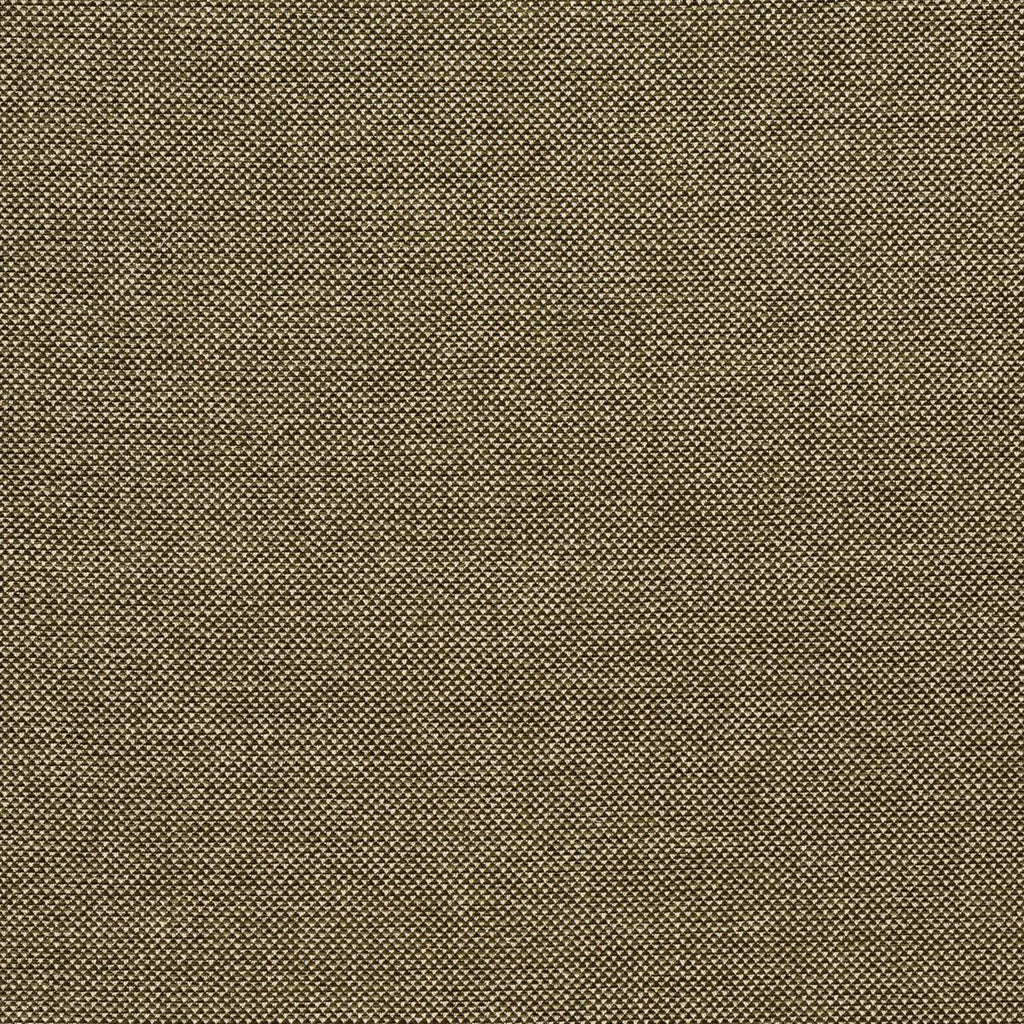 Lee Jofa WEBSTER MOSS Upholstery Fabric