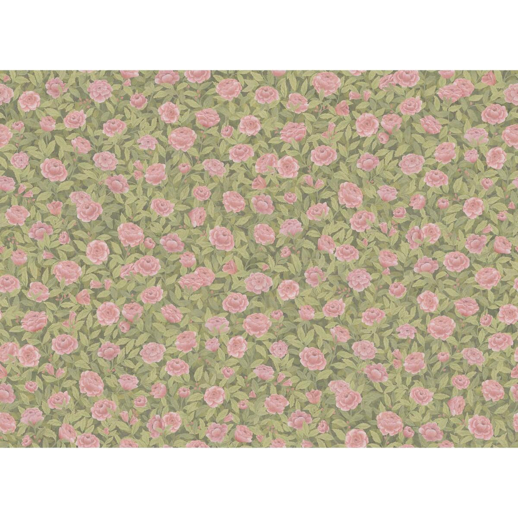 Cole & Son IDYLL ROSES LINEN BLUSH Fabric