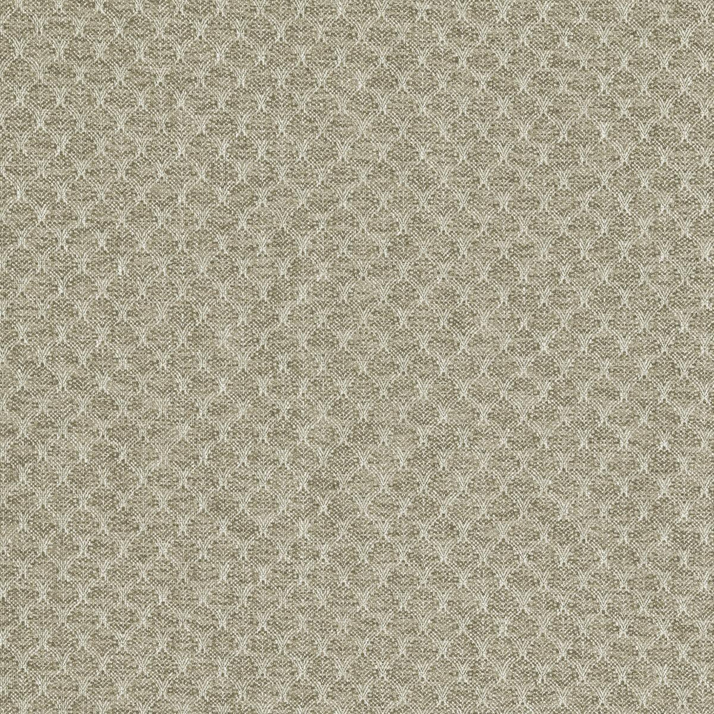 Clarke & Clarke TRELICA NATURAL Upholstery Fabric