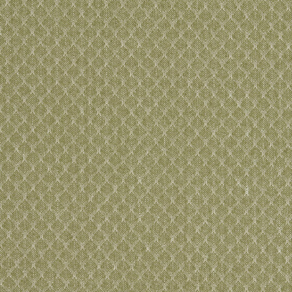 Clarke & Clarke TRELICA OLIVE Upholstery Fabric