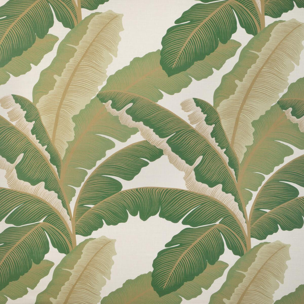 Kravet ISLA ROYAL GOLDEN PALM Fabric