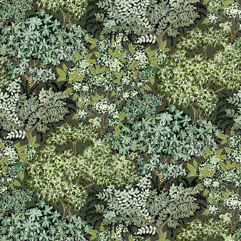 Kravet BROCCOLI CANPOY 11 Wallpaper