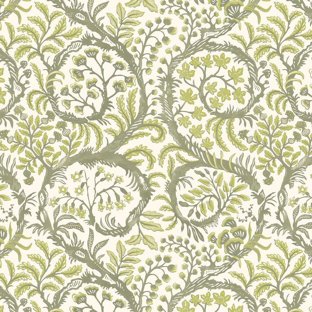 Kravet BUTTERROW 21 Wallpaper