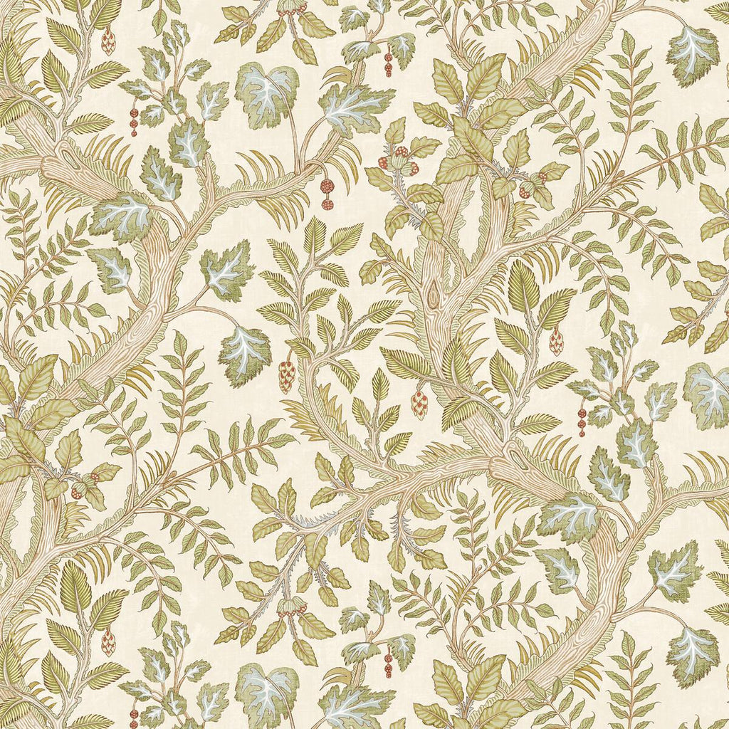 Kravet HEDGEROW 31 Wallpaper