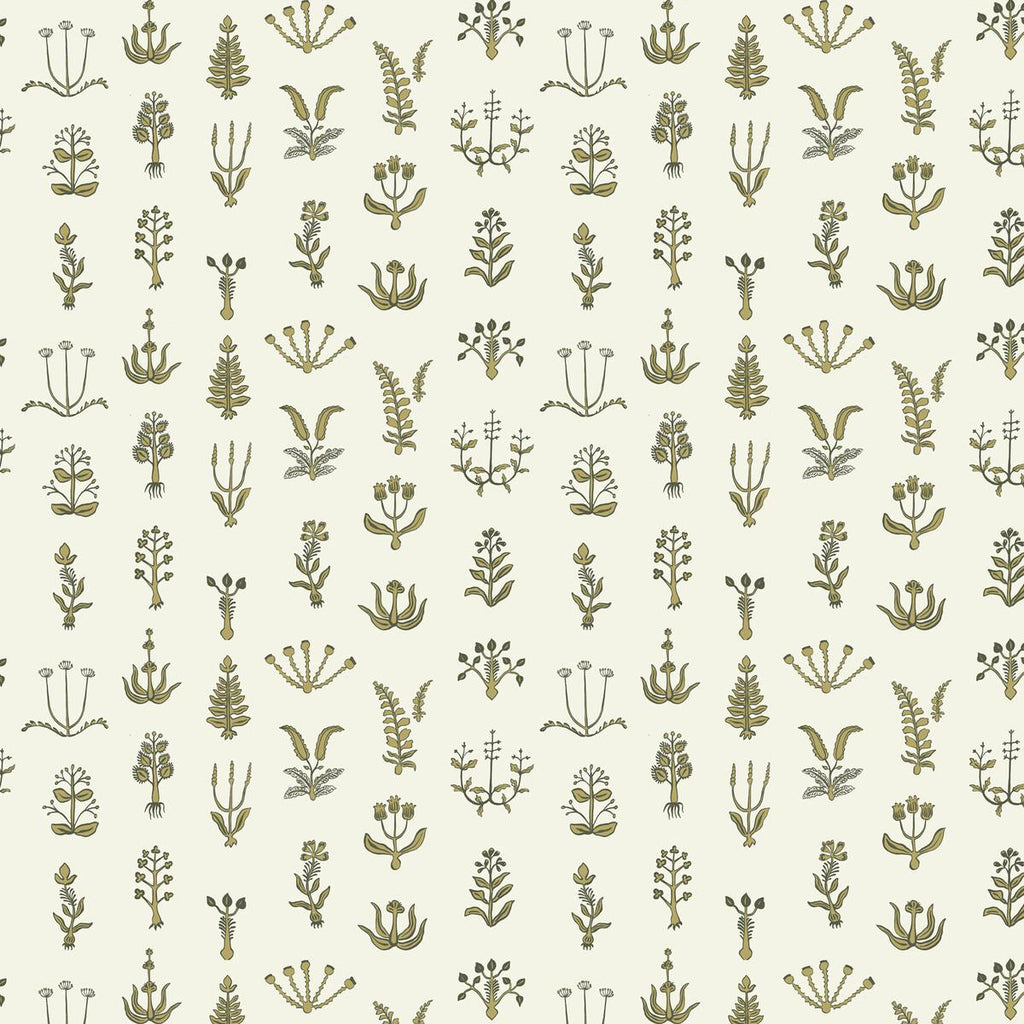 Kravet FLORAL SPOT 02 Wallpaper