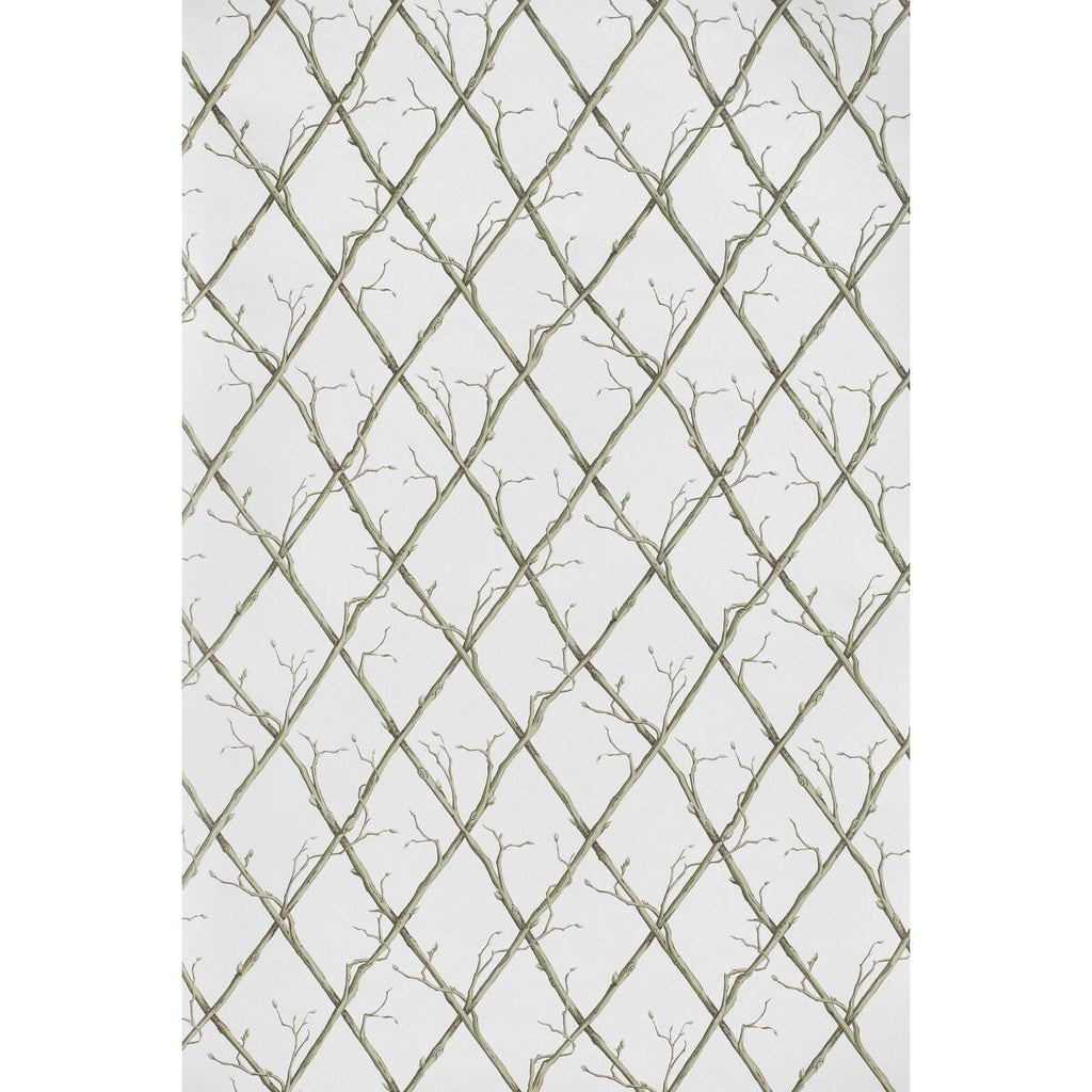 Lee Jofa TWIG TRELLIS WP GREEN Wallpaper