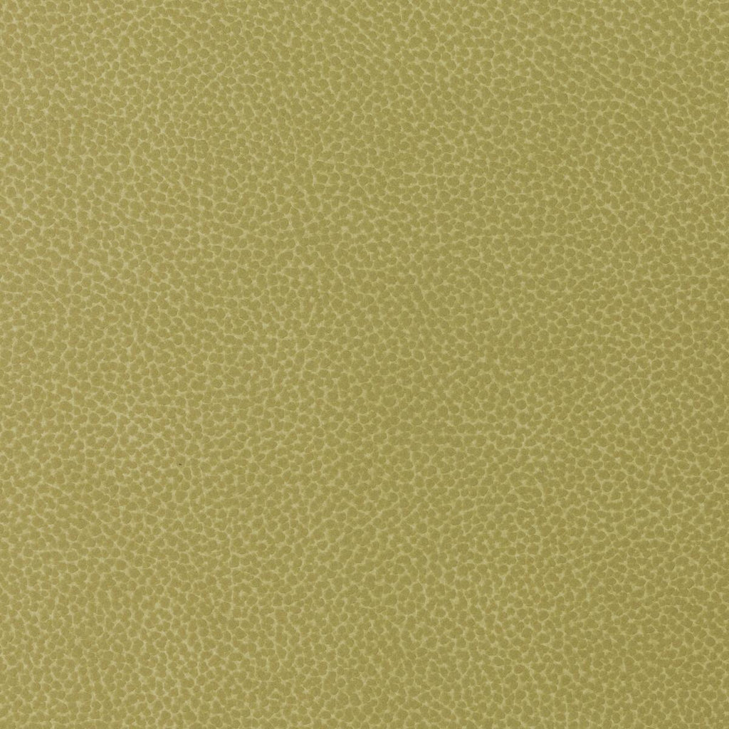 Kravet KRAVET DESIGN SWEETGUM-340 Upholstery Fabric