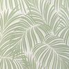 Kravet Palm Leaf Wp Light Green Wallpaper