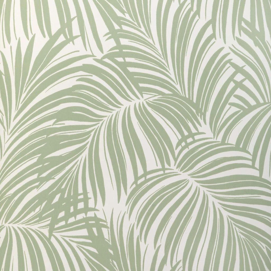 Kravet PALM LEAF WP LIGHT GREEN Wallpaper