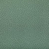 Kravet Woolf Julep Upholstery Fabric