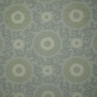 Pindler BRAGA SAGE Fabric