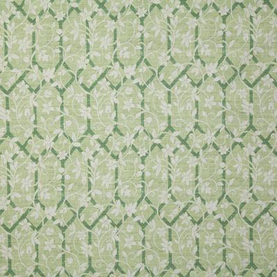 Pindler JILLIAN LEAF Fabric