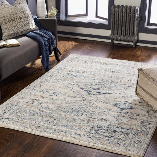 Surya Amore AMO-2309 7'10" x 10' Rug