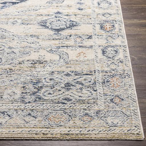 Surya Amore AMO-2309 7'10" x 10' Rug