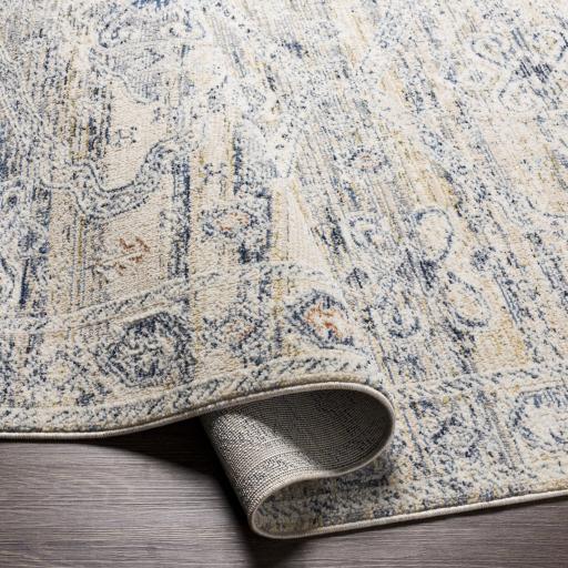 Surya Amore AMO-2309 7'10" x 10' Rug