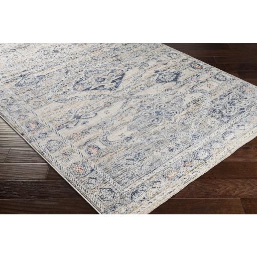 Surya Amore AMO-2309 7'10" x 10' Rug