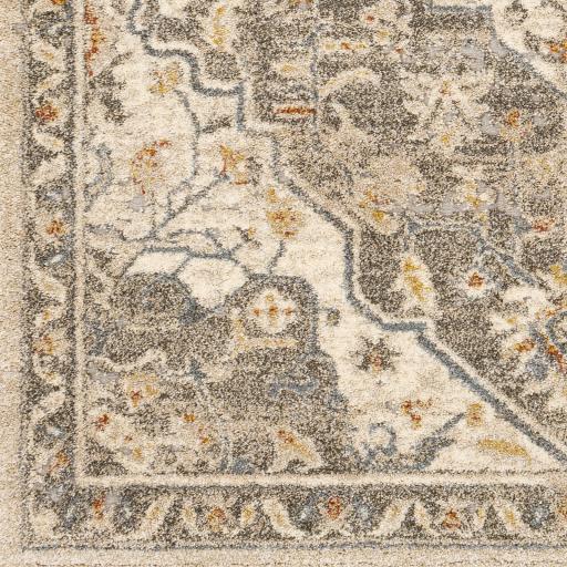 Surya Tuscany TUS-2308 7'10" Square Rug