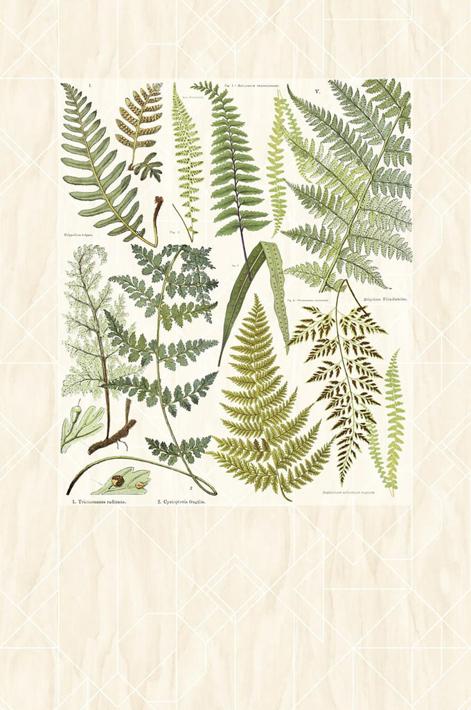 Brewster Home Fashions Eijffinger Geonature 366102 Browns Wallpaper