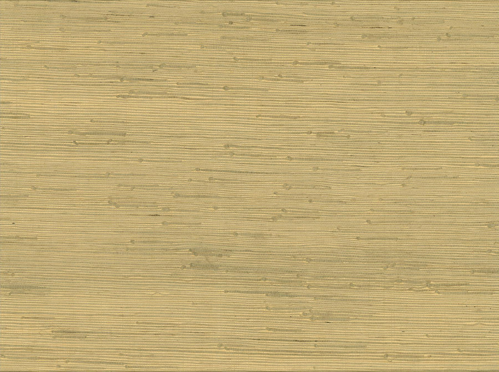 Brewster Home Fashions Advantage Grasscloth Portfolio 4018-0021 Light Green Wallpaper