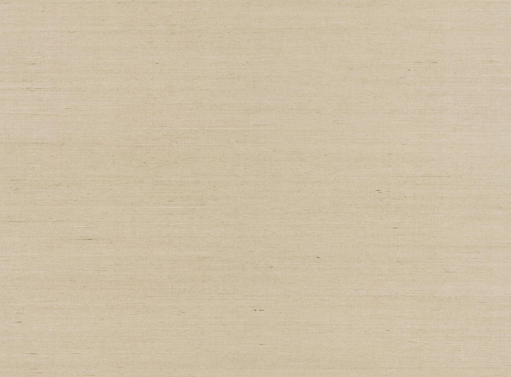 Brewster Home Fashions Advantage Grasscloth Portfolio 4018-0046 Beige Wallpaper