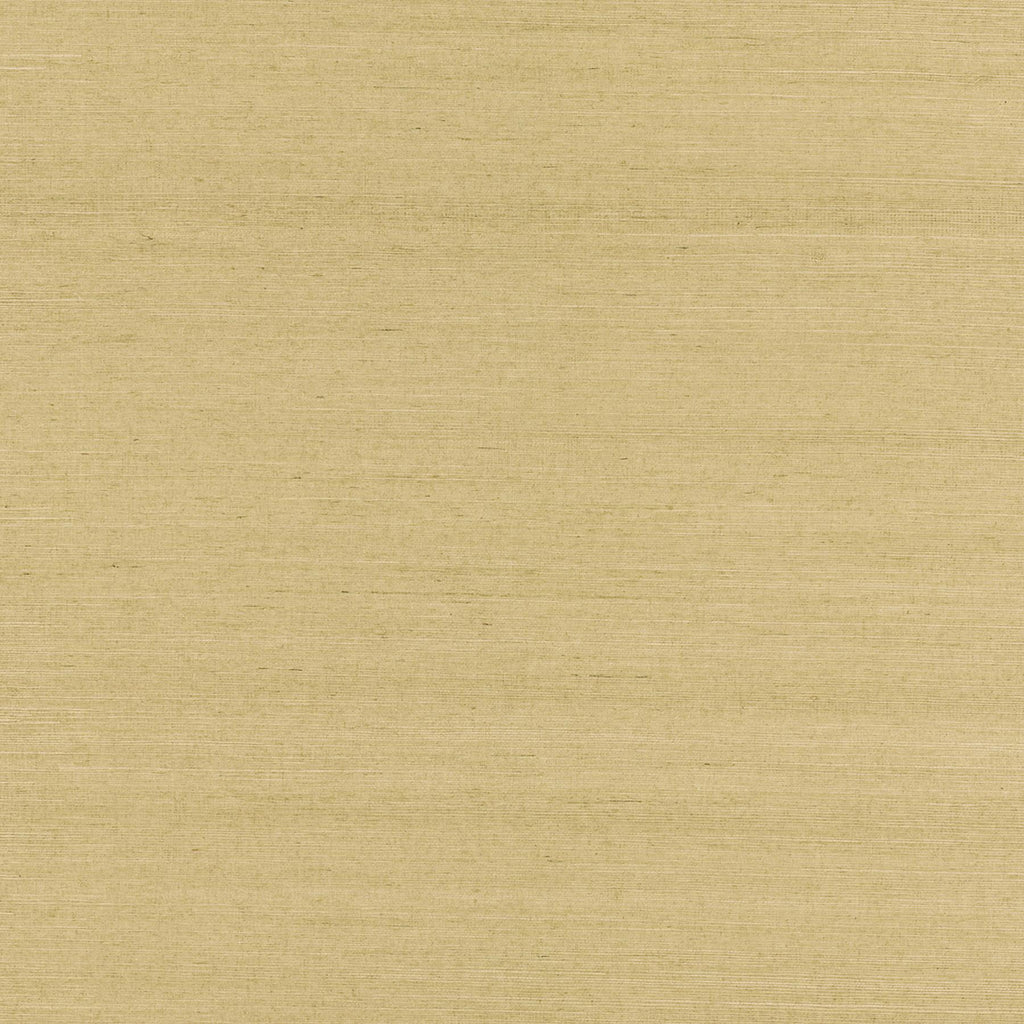 Brewster Home Fashions Advantage Grasscloth Portfolio 4018-0056 Beige Wallpaper