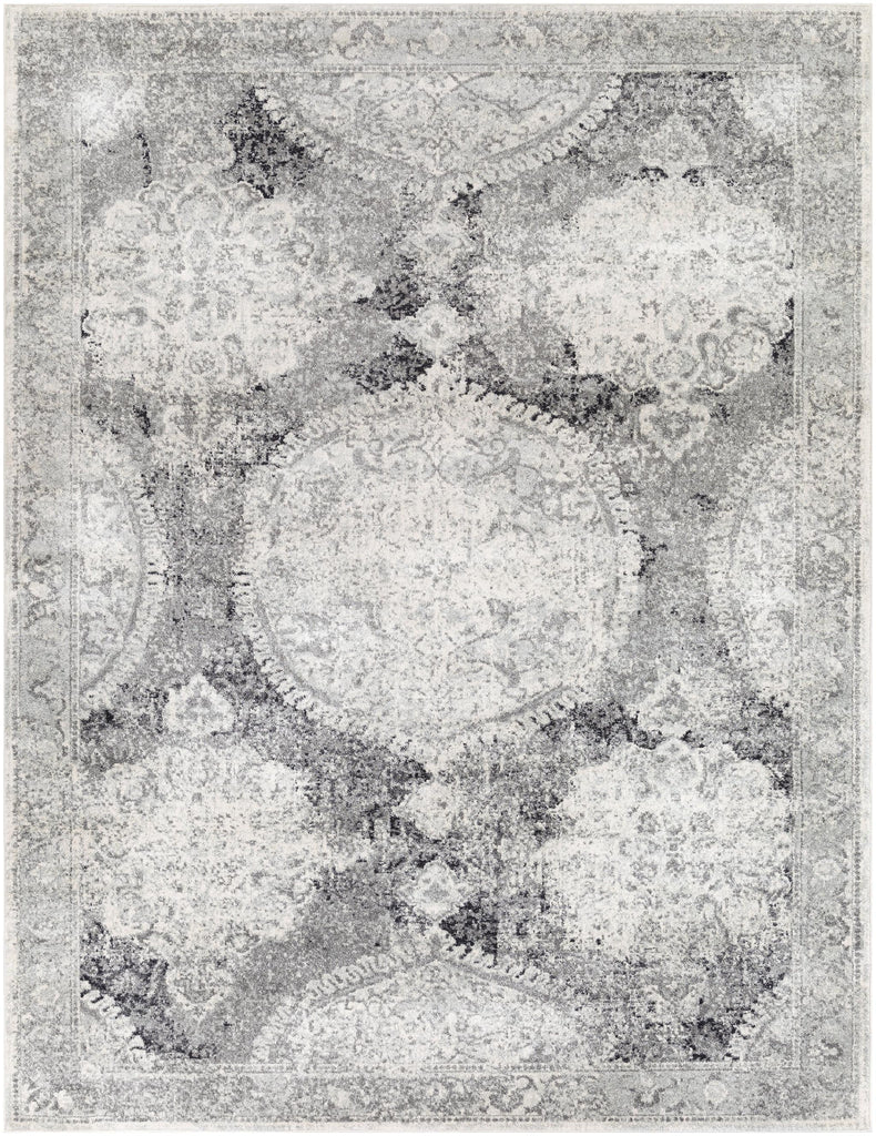 Surya Harput HAP-1041 6'7" x 9' Rug