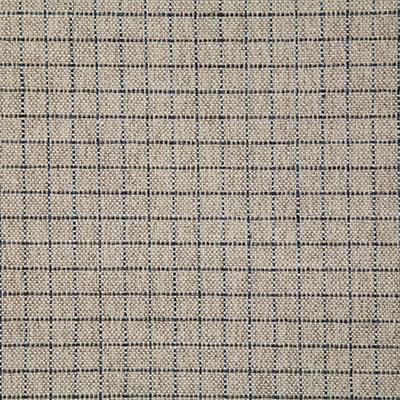 Pindler RIZZO INK Fabric