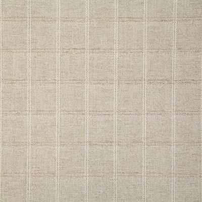 Pindler VALIANT SAND Fabric