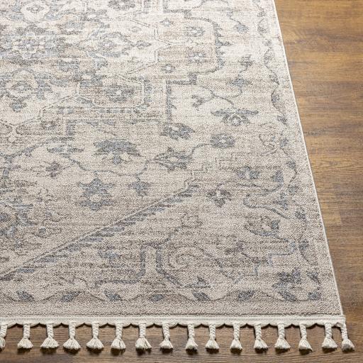 Surya Euphoria ERP-2320 6'7" x 9' Rug