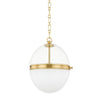 Hudson Valley Lighting Donnell Aged Brass 12.5W X 12.5L X 15.25H Pendant