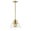 Hudson Valley Lighting Paoli Aged Brass 12W X 12L X 10H Pendant