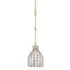 Hudson Valley Lighting Floral Park Aged Brass 7.5W X 7.5L X 25.5H Pendant