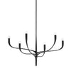 Hudson Valley Lighting Labra Aged Iron 36.75W X 36.75L X 20H Chandelier