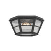 Troy Lighting Lake County French Iron 13.75W X 13.75L X 6.25H Flush Mount