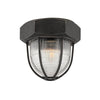 Troy Lighting Acme Aged Pewter 8.5W X 8.5L X 7.25H Flush Mount