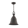 Troy Lighting Liberty Heritage Bronze 10.5W X 10.5L X 14.5H Pendant